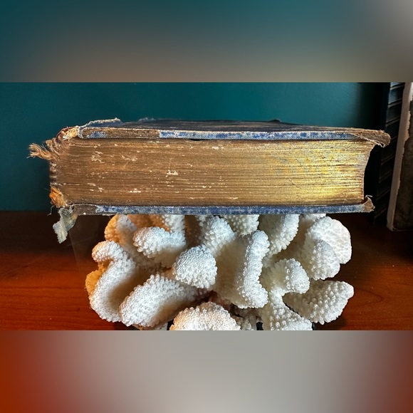 Decorum: A Practical Treatise on Etiquette & Dress of the Best American Society - Picture 14 of 16